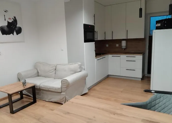 Na Rozanej Apartman *